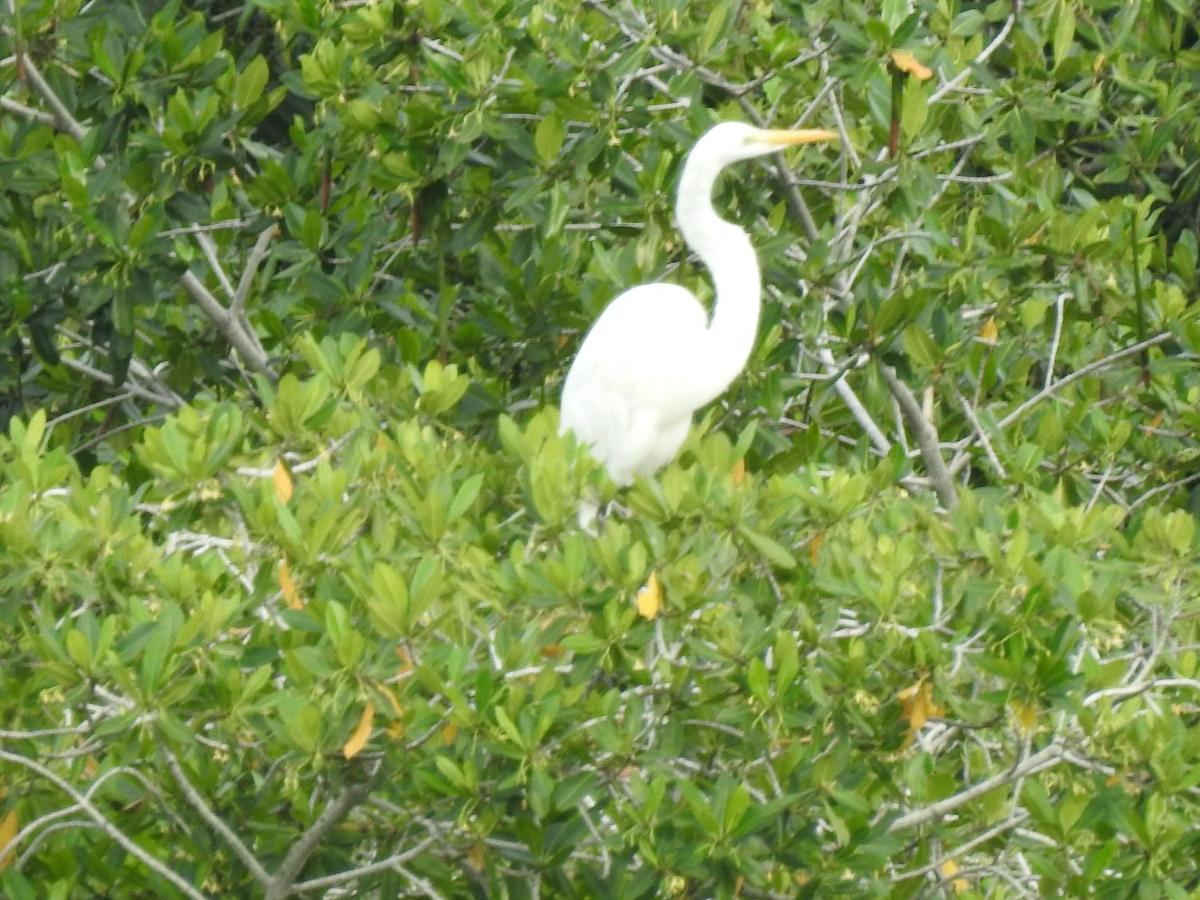 Hermoso Con Todas Comodidades Acceso Directo A La Playa Morros Epic Sector La Boquilla Cumple Protocolos De Bioseguridad * Cartagena
