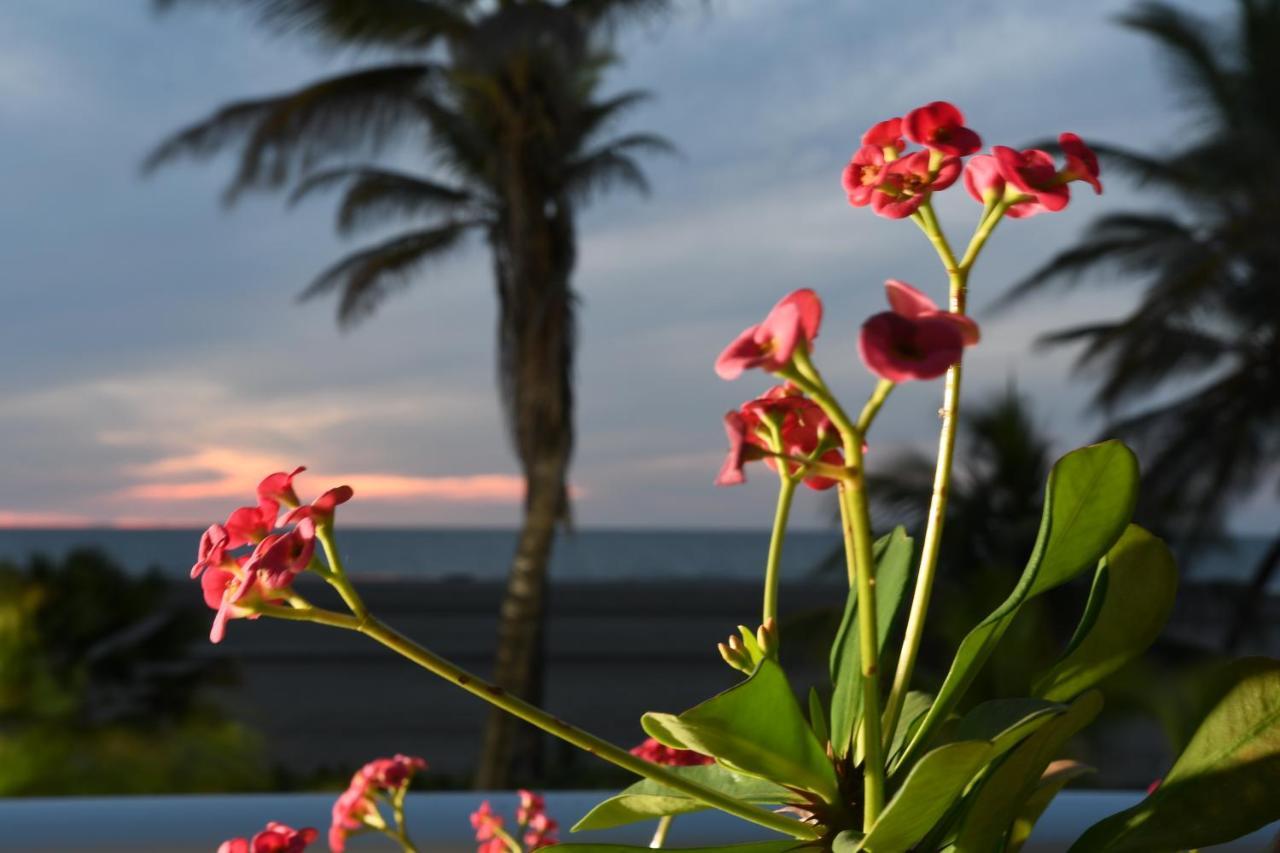 Hermoso Con Todas Comodidades Acceso Directo A La Playa Morros Epic Sector La Boquilla Cumple Protocolos De Bioseguridad Apartamento *