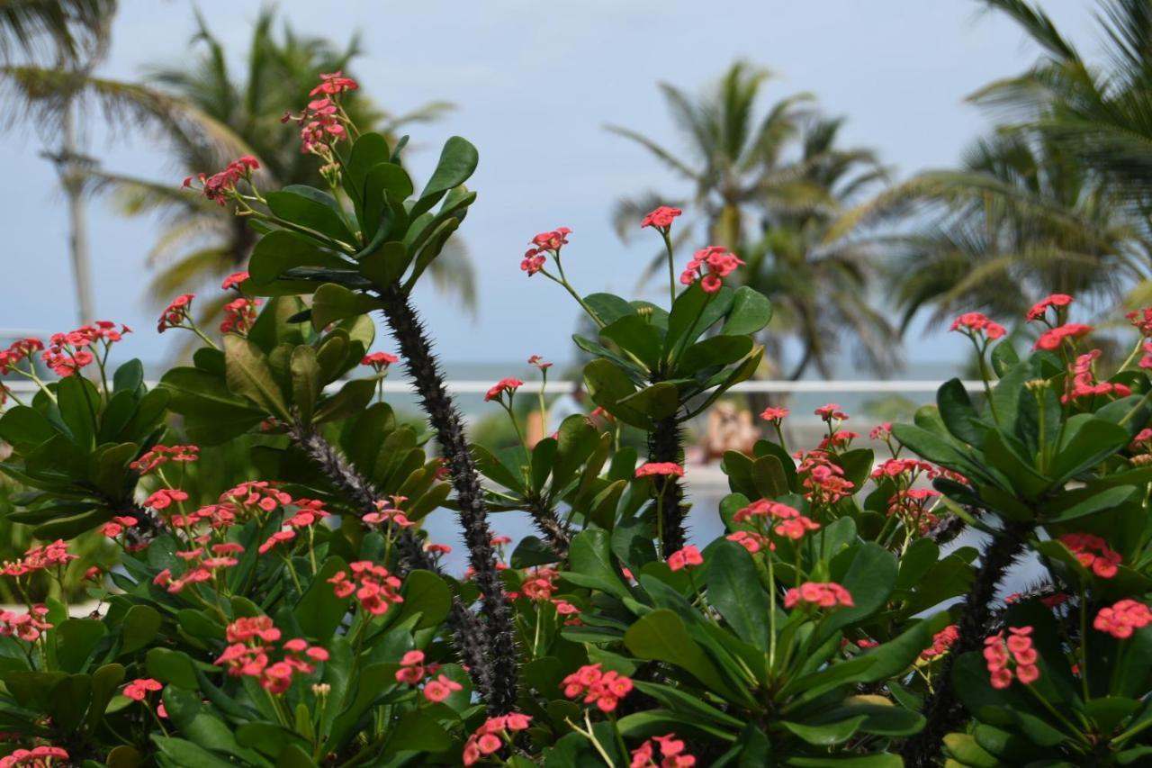 Hermoso Con Todas Comodidades Acceso Directo A La Playa Morros Epic Sector La Boquilla Cumple Protocolos De Bioseguridad *